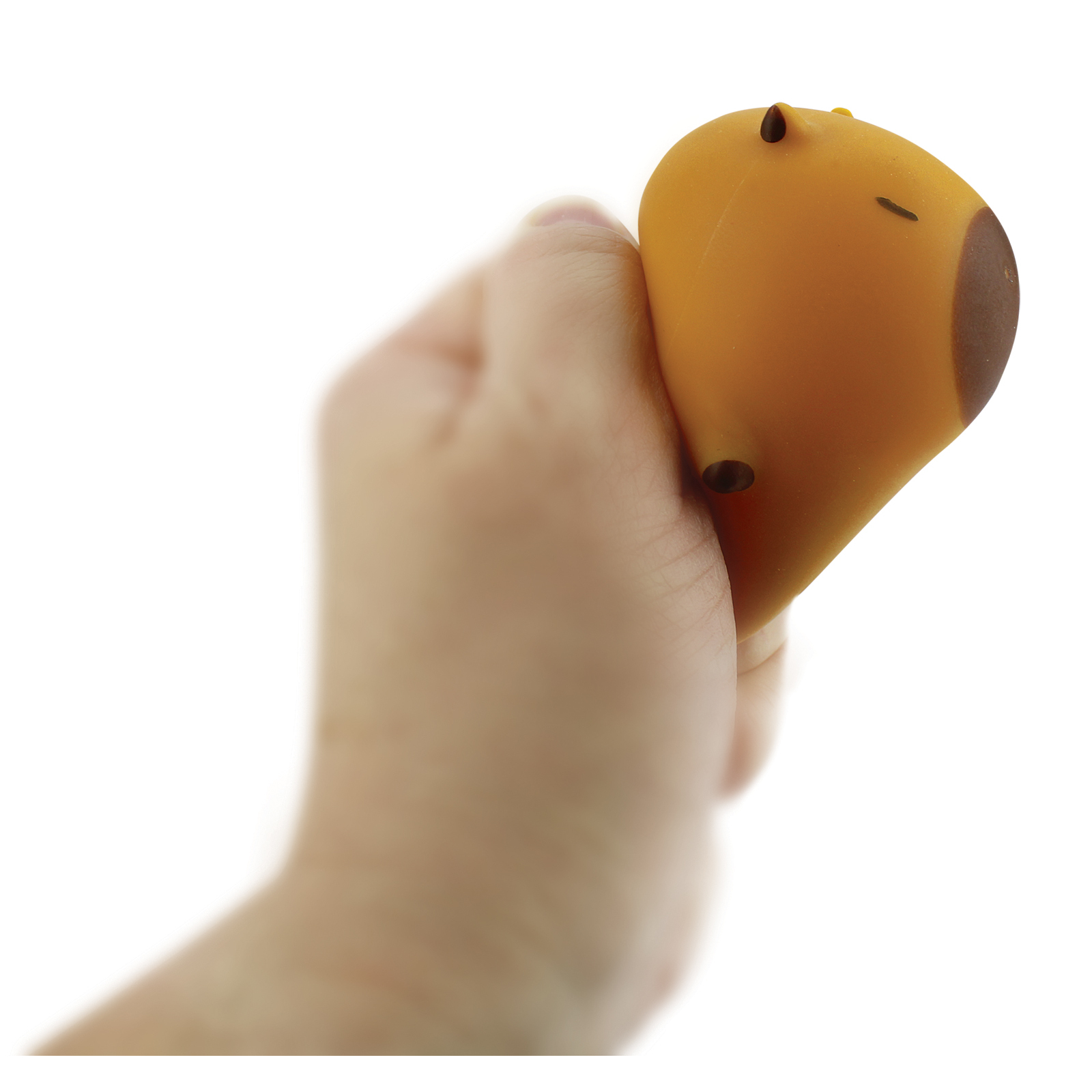 P0373_CapybaraCostume_3